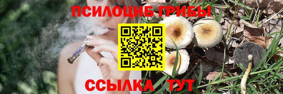 где найти   Псилоцибиновые грибы Psilocybe  Вход с VPN  Артёмовский  Псилоцибиновые грибы Magic Shrooms 