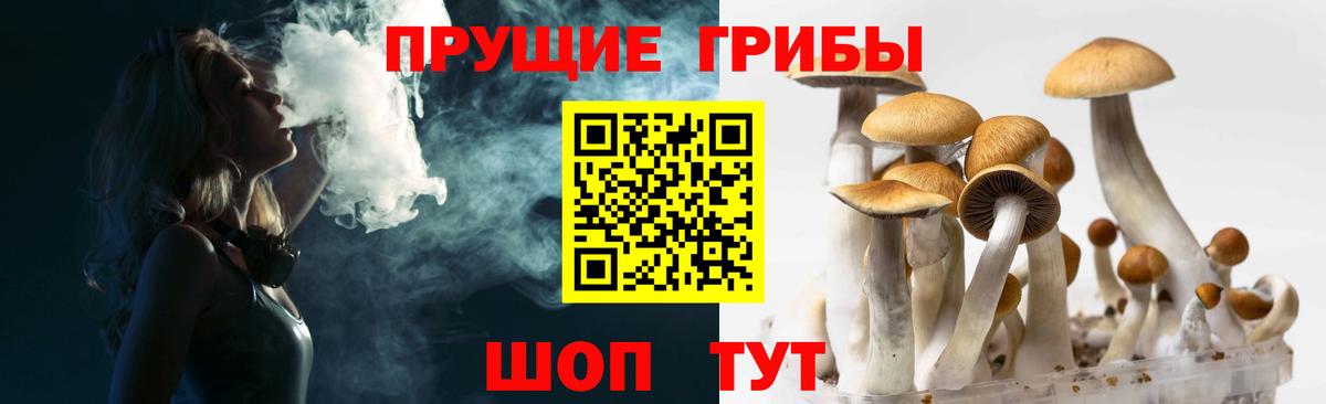 Псилоцибиновые грибы Magic Shrooms  Артёмовский  Галлюциногенные грибы Psilocybine cubensis 