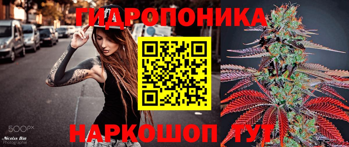 Каннабис MAZAR  Артёмовский  Каннабис план  Бошки марихуана THC 21% 